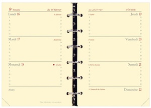 QUO VADIS Nachfüllung für Terminkalender Timer 14 Horizontal