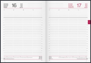 rido idé Buchkalender "Conform Balacron", 2027, schwarz
