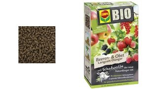 COMPO BIO Beeren- und Obst Langzeitdünger, 2 kg