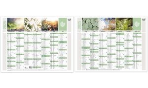 QUO VADIS Calendrier mural "Equology", 430 x 335 mm, 2025