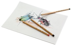 FABER-CASTELL Buntstift PITT PASTELL, rötel