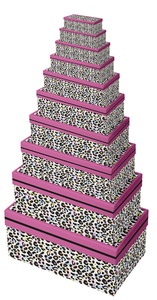 Clairefontaine Geschenkboxen-Set "Leopard", 10-teilig