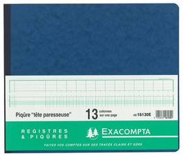 EXACOMPTA Geschäftsbuch mit Kopfleiste, 30 Spalten