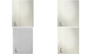 LEITZ Tauenpapier-Register, Zahlen, A4 Überbreite, 1-20,grau
