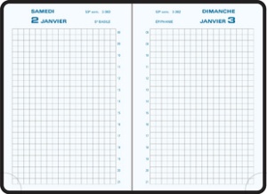 EXACOMPTA Agenda de poche Journal 13 Quadrillé 2026, assorti