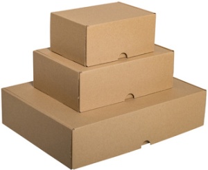 SMARTBOXPRO Maxibriefkarton, (B)176 x (T)118 x (H)80 mm