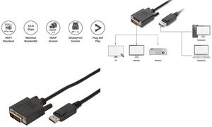 DIGITUS DisplayPort Adapterkabel, DP auf DVI-D (24+1), 3 m