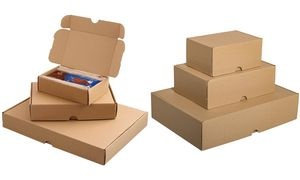 SMARTBOXPRO Maxibriefkarton, (B)175 x (T)115 x (H)45 mm