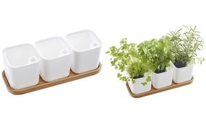 orthex Kräutertopf EDEN, 3er Set, weiß