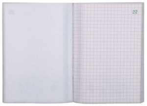 EXACOMPTA Manifold "Quadrillé", 297 x 210 mm, dupli