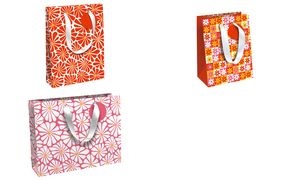 Clairefontaine Geschenktüte "Sunny Flowers", mittel