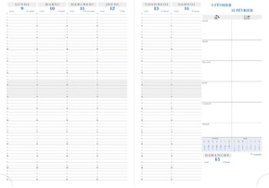 EXACOMPTA Agenda de bureau Consultations 29, 2027, assorti