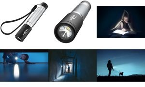 ANSMANN LED-Taschenlampe Daily Use 50B, silber/schwarz