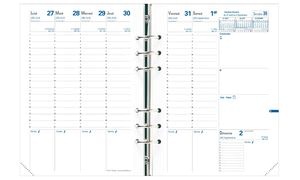 QUO VADIS Recharge "Timer 21 Planing", 2026/2027, 16 mois