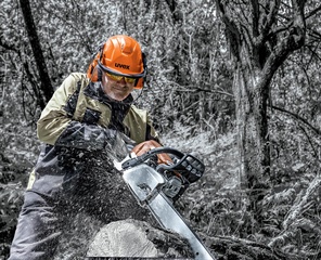 uvex Schutzhelm pheos forestry, orange