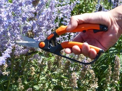 Garten PRIMUS Ersatzfeder für kleine Buchsbaumschere
