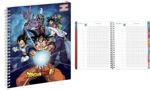 Clairefontaine Cahier de textes Dragon Ball S "Azur"