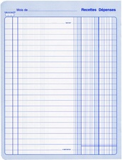ELVE Piqûre "Recettes/Dépenses", 80 pages, 297 x 210 mm