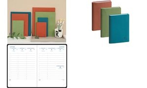 EXACOMPTA Agenda de poche SAS 13, 2026/2027, assorti