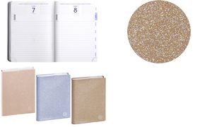 EXACOMPTA Agenda scolaire FORUM Eden, 2026/2027, assorti