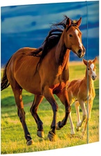 RNK Verlag Zeichnungsmappe "Free Horses", DIN A3