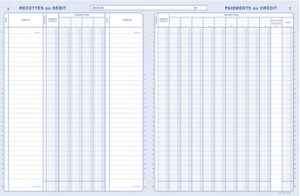 ELVE Piqûre comptable, 240 x 320 mm, 100 pages, 14 colonnes