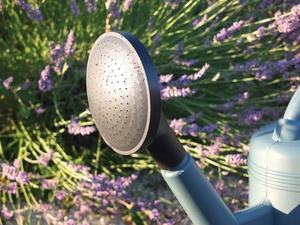 Poétic Ersatzbrause für Garten-Gießkanne 6 Liter