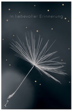 SUSY CARD Trauerkarte "Feine Zweige 2"