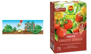 COMPO Tomaten Langzeit-Dünger, 2 kg