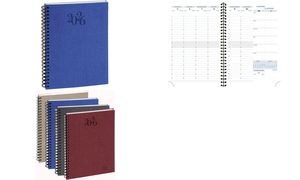 EXACOMPTA Agenda de bureau HORIZONS 20S Visuel 2026, assorti