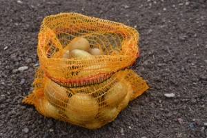 dm-folien Kartoffel-/Obstsäcke, gelb, 2,5 kg