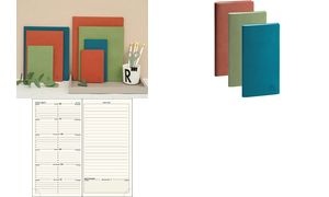 EXACOMPTA Agenda de poche SAS 17, 2026/2027, assorti