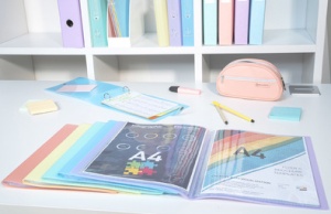 EXACOMPTA Sichtbuch Chromaline, DIN A4, PP, sortiert