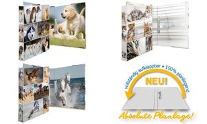 HERMA Ringbuch "Animals" - Hunde, DIN A4, 2-Ring-Mechanik