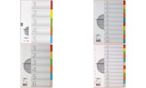 PAGNA Karton-Register, DIN A4, 5-teilig, 5-farbig
