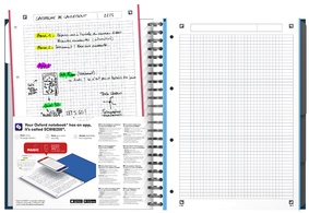 Oxford Office Collegeblock European Book 4, DIN A4+, kariert