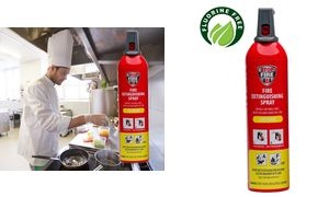 REINOLD MAX Feuerlösch-Spray "KITCHEN", 750 ml