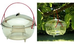 EDA Wespenfalle zum Aufhängen, Durchmesser: 170 mm