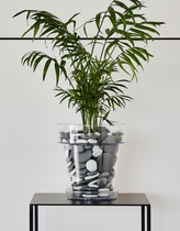 tera Blumentopf "Porto 16", transparent