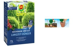 COMPO Buchsbaum- und Ilex Langzeit-Dünger, 2 kg