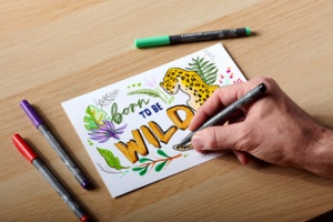 STAEDTLER Fasermaler pigment pen, schwarz, 2er Kartonetui