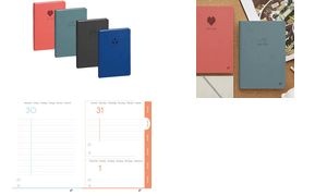 QUO VADIS EUROTEXTAGENDA scolaire PACO, 2026/2027, assorti