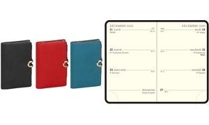 EXACOMPTA Taschenkalender 115 x 75 Winner, 2026, sortiert