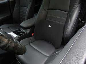 cartrend Lendenkissen, Memory Foam, schwarz