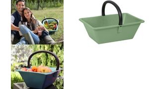 EDA Sammelkorb mit Griff, 14 Liter, Kunststoff, grün