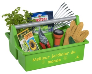 allit Tragekasten McPlus Carry "Jardinier", grün