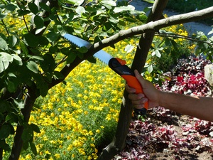 Garten PRIMUS Klappsäge "Hai-Speed", Blattlänge: 180 mm