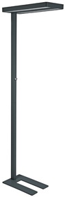 MAUL LED-Stehleuchte MAULjaval, dimmbar, mit Standfuß