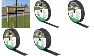 Bradas Baum-Bindeband, PP, 50 mm x 25 m, schwarz