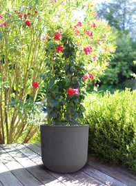 EDA Pflanzgefäß BASALT UP, rund, 485 mm, mandelgrün